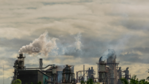 <strong>Decarbonization 101: What It Means and Why It Matters</strong><br>